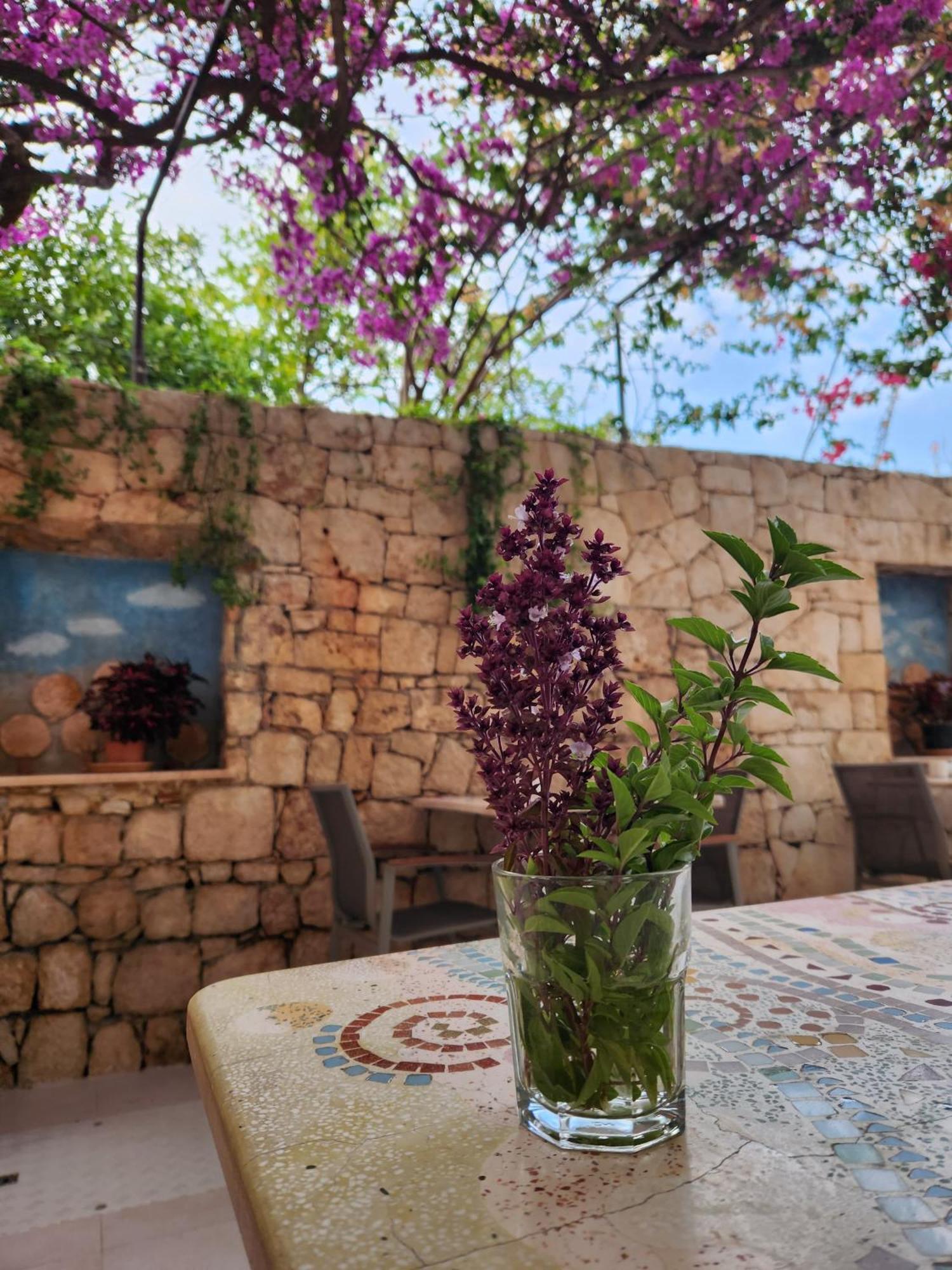 Hotel Begonvil Kaş Kültér fotó